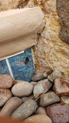 Silver Springs Pool & Spa