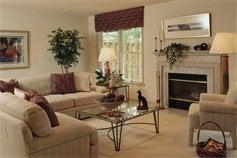 Ray's House Cleaning Services