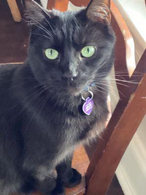 This store is great! Better than you'd expect for a local convienience store