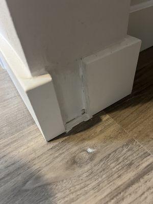 lack of attention to detail