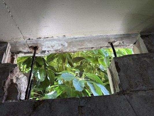 Cathedral Point Homeowners Association