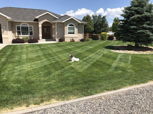ART Landscape Maintenance