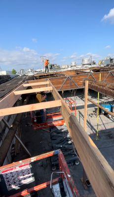 Longhorn Demo & Hauling