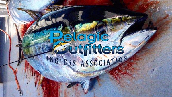 Pelagic Outfitters