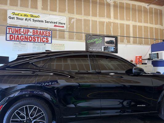 Coachella Tint Shop