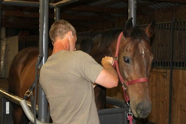 Range View Equine Associates