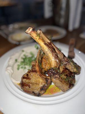 Zeugma Mediterranean Grill