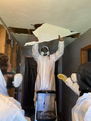 Browns Mitigation Services