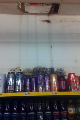 Its not a bad DG they just need to do something about that mold