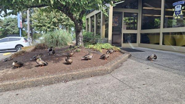 Franz Bakery Outlet Store