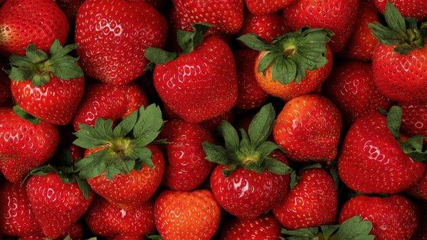 Capitol City Produce