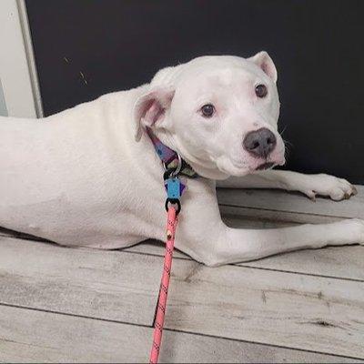 Columbia Animal Hospital