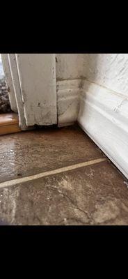 Your family cost me a lot of money.