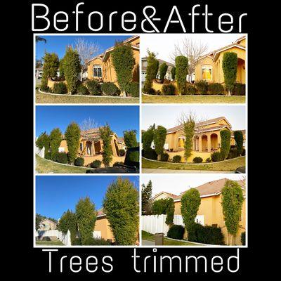 Jesus Barajas Landscaping