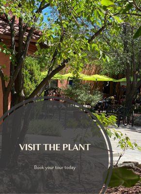 Lush tree lined patio