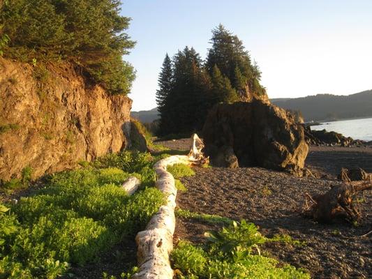 Seldovia Rowing Club Bed and Breakfast.