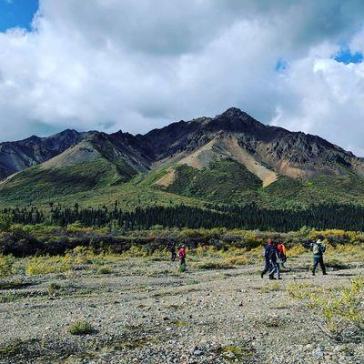 Denali National Park