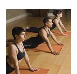 Yoga Darshana Center