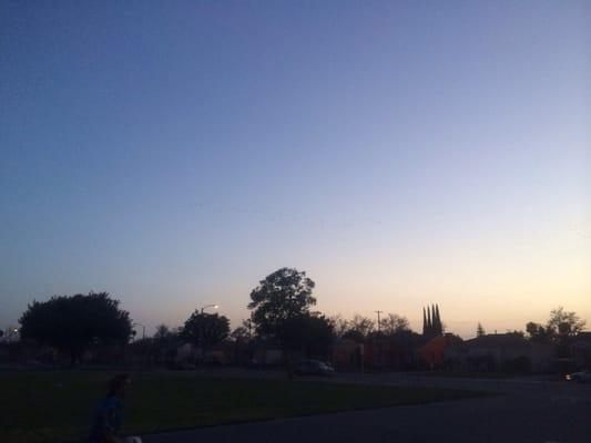 A Saturday Night at Birney.