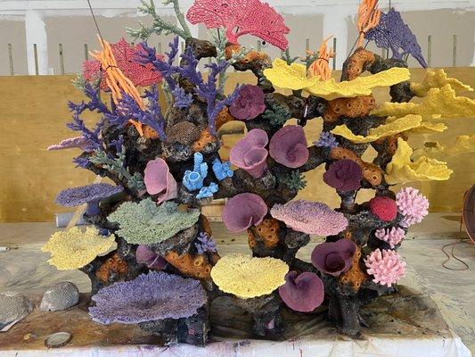 Creative Coral Design