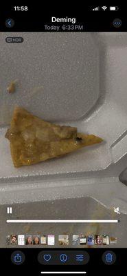 A fly in my nachos