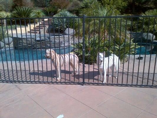 Rancho Cielo Estates