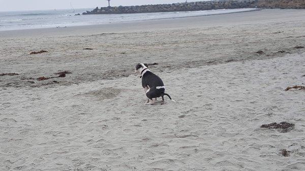 Fort David Military Surplus