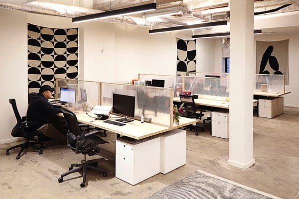 The Harlem Collective