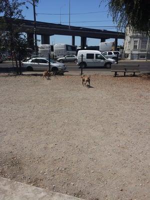 Jefferson Square Park