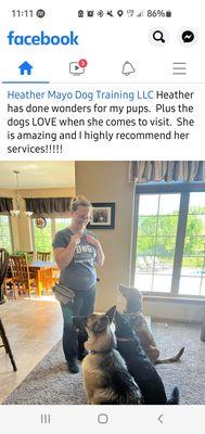 Heather Mayo Dog Training