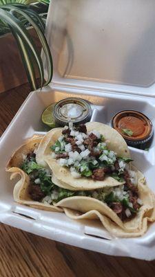 La Mentada Chihuahua's