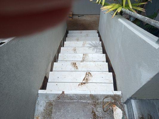 Hawaii's Affordable Handyman