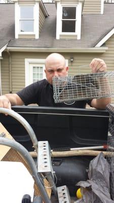 Cain's Wildlife Removal