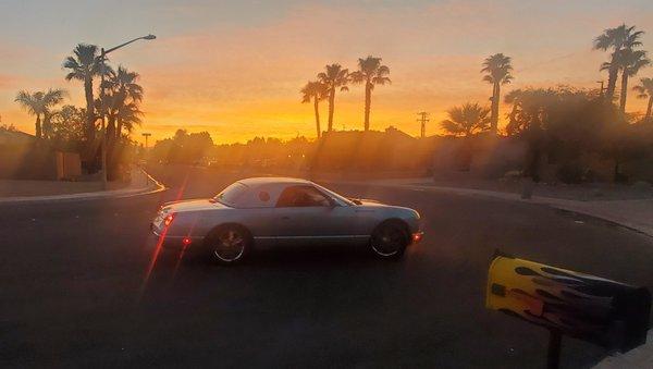 Sound Avenue & 3M Window Tint