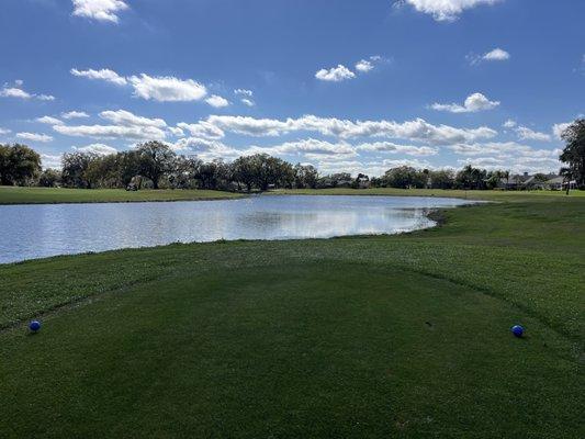 Longish 3 par on the back