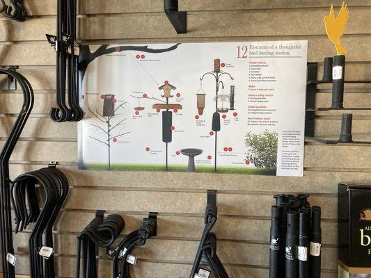 Construct a bird feeding station