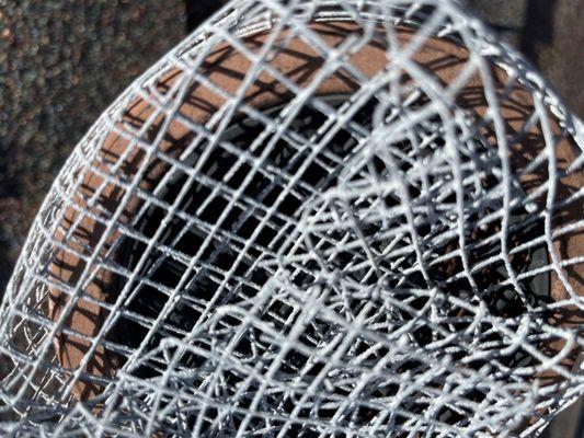 Critter Control of Tampa