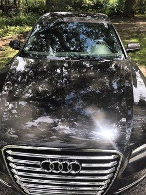 New windshield installed at the location of your choice!!!