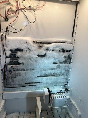 Subzero Repair Care Service