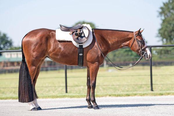 Sean Mikal Photography