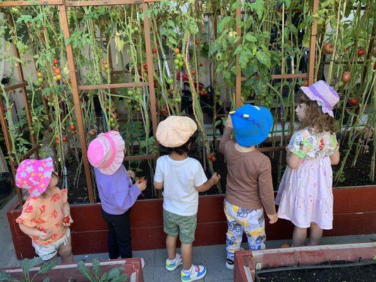 Skeyci Children Programs