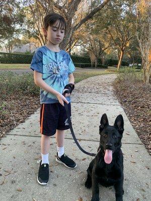 My 5 month old German Shepherd Zeus! He's absolutely beautiful.