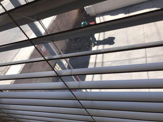 Ideal Community Management