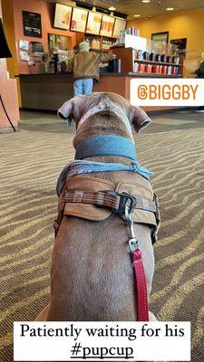 Biggby Coffee