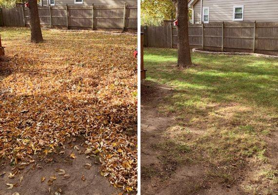 Skyscraper Lawncare