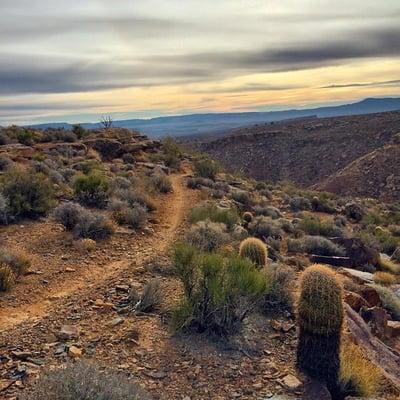 HANGAR 15 Bicycles - Millcreek