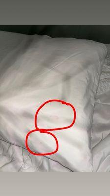 Super 8 by Wyndham West Fargo Main Ave ND