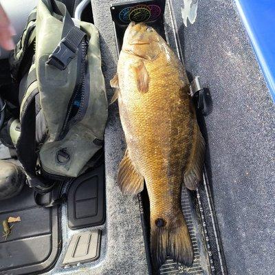 Big Fat Bass Guide Service