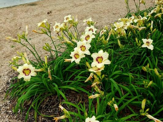 Ghirardi Family WaterSmart Park