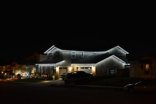 VIP Christmas Lights
